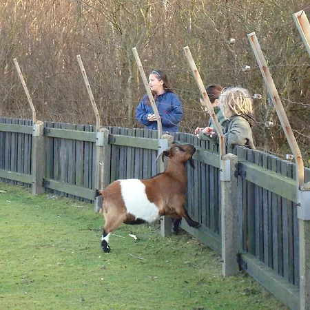 Hotel Rasch Bergen aan Zee