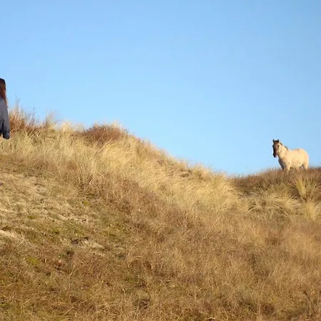 Hotel Rasch Bergen aan Zee