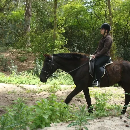 Rasch Hotel Bergen aan Zee